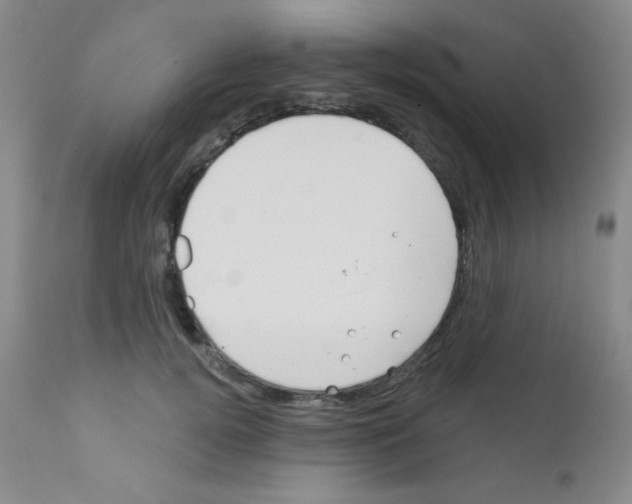 X0000111790752200909031157