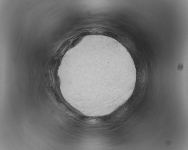 X0000111790755200909031157