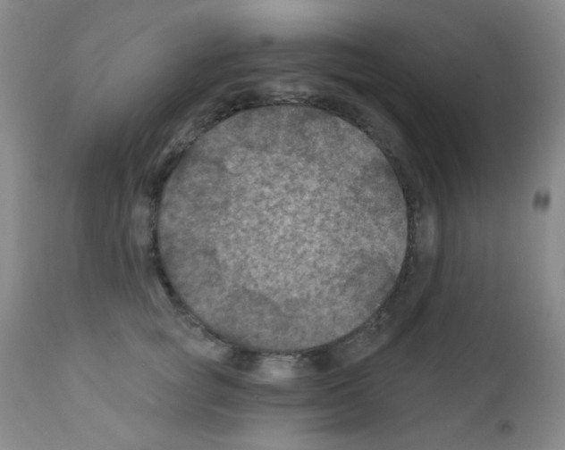 X0000111790757200909031157