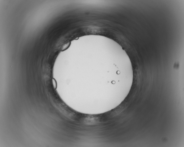 X0000111790760200909031157