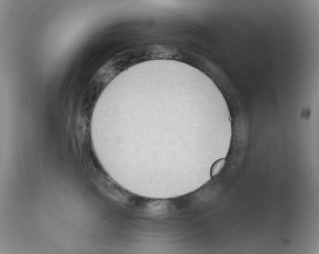 X0000111790761200909031157