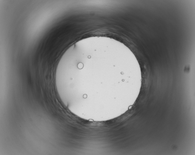 X0000111790762200909031157