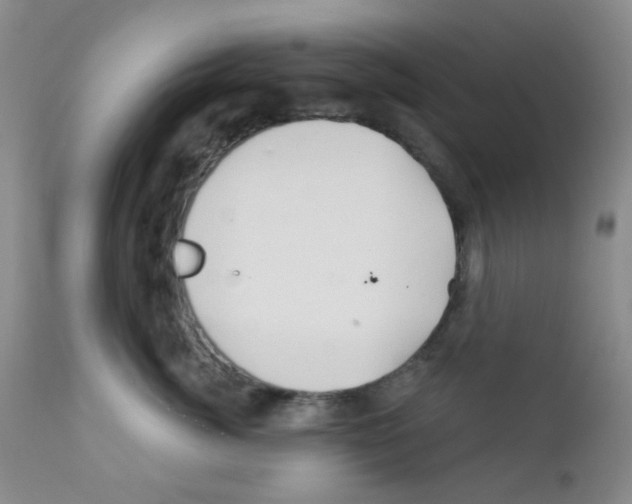 X0000111790764200909031157