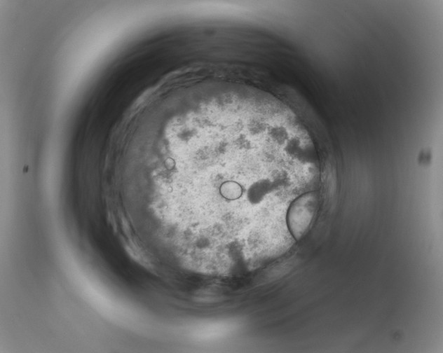 X0000111790765200909031157