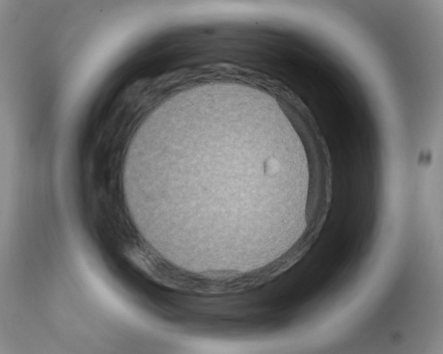 X0000111790766200909031157