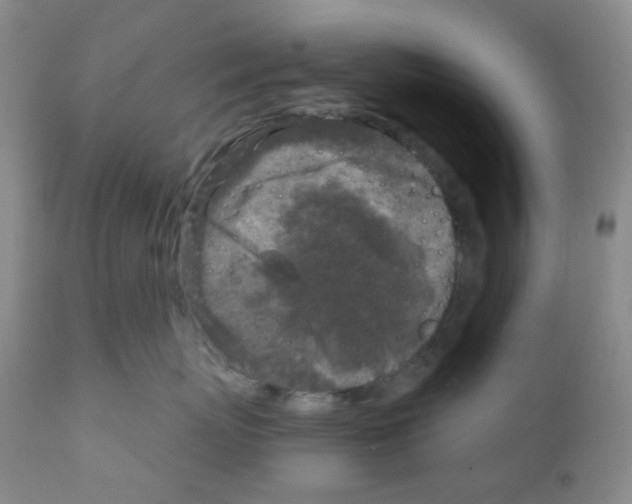 X0000111790767200909031157