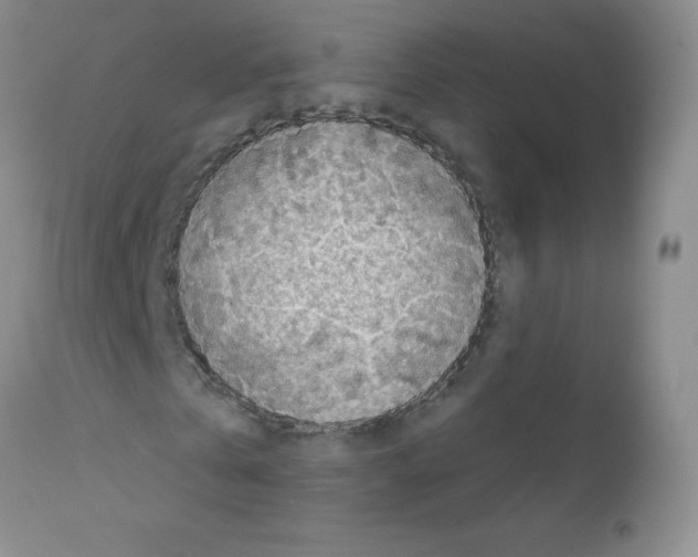 X0000111790769200909031156