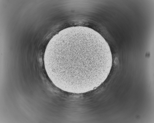 X0000111790771200909031156