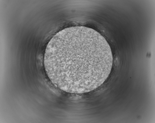 X0000111790772200909031156