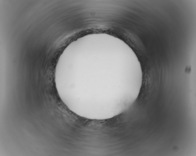 X0000111790773200909031156