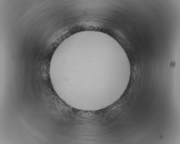 X0000111790774200909031156