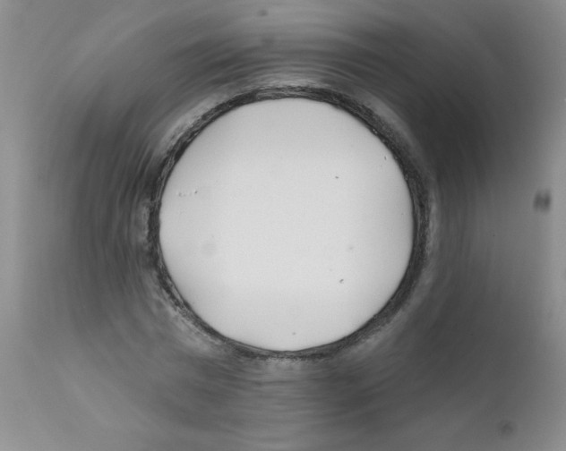 X0000111790777200909031156