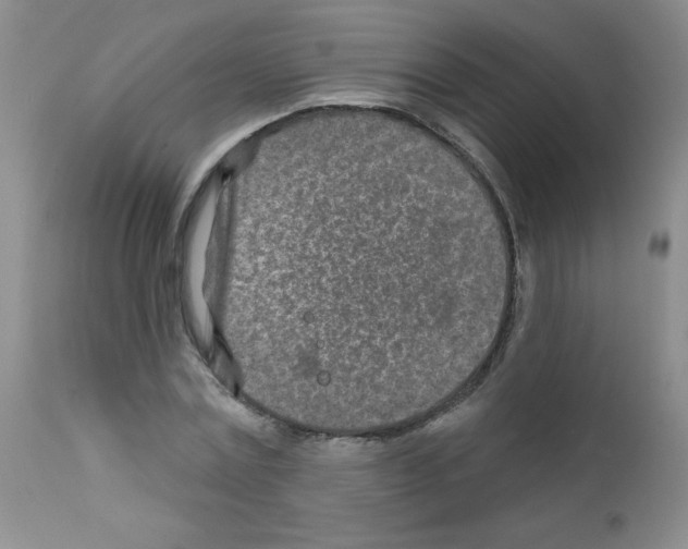 X0000111790779200909031156