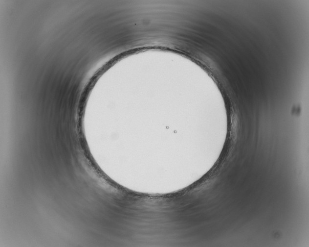 X0000111790780200909031156