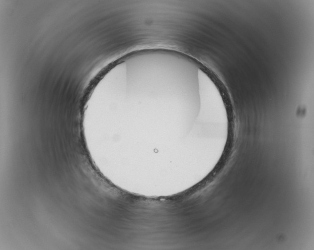 X0000111790781200909031156