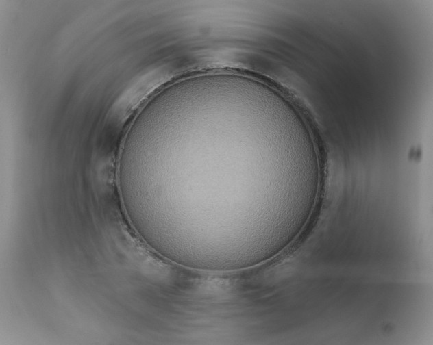 X0000111790785200909031156