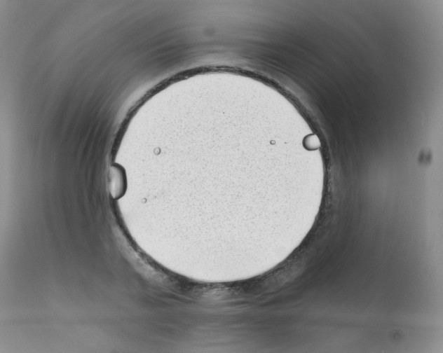 X0000111790791200909031156