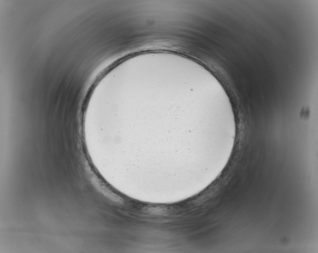 X0000111790792200909031156