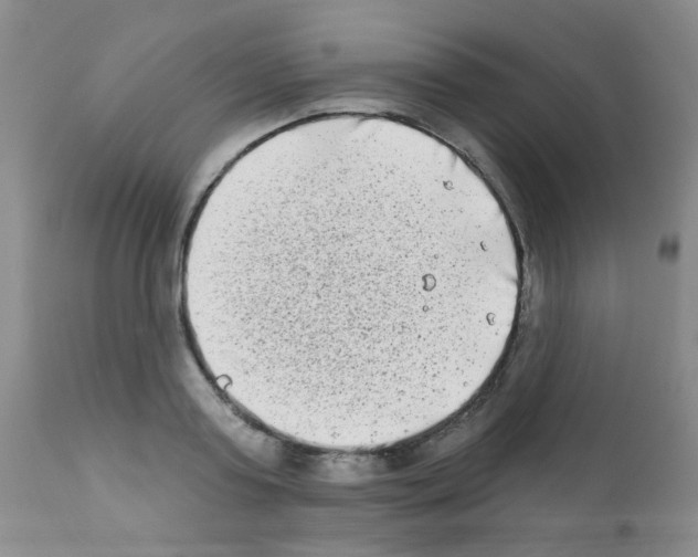 X0000111790795200909031156