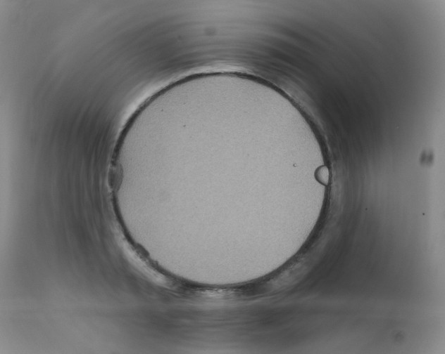 X0000111790797200909031156