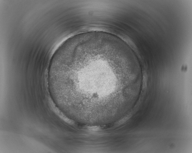 X0000111790798200909031156