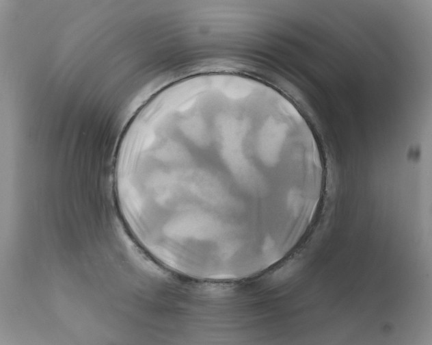 X0000111790802200909031156