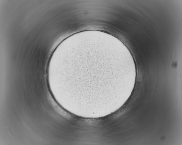 X0000111790803200909031156