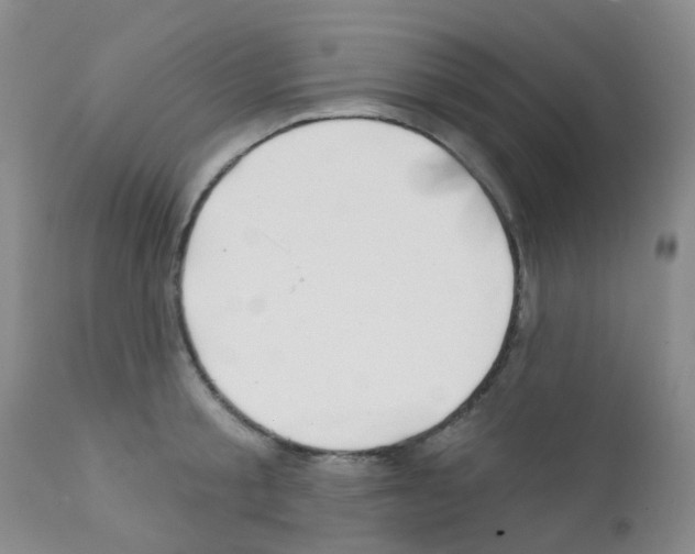 X0000111790805200909031156