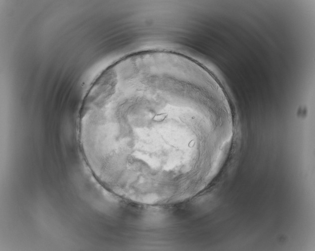 X0000111790807200909031156