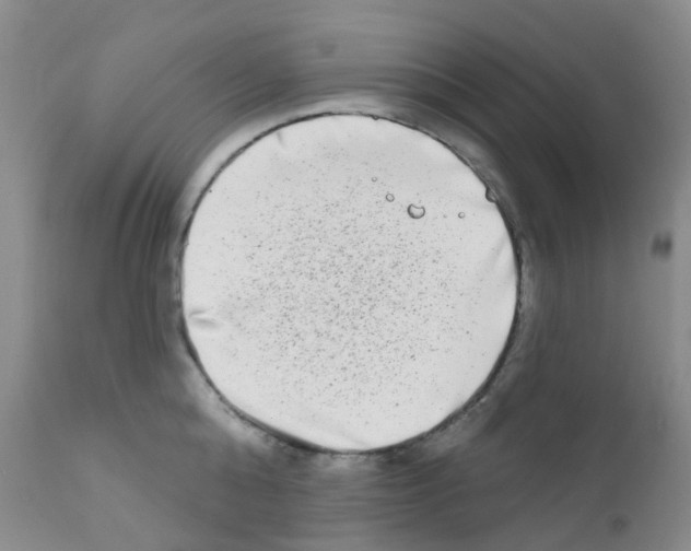 X0000111790808200909031156