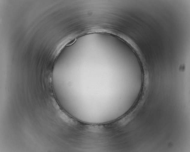 X0000111790809200909031156