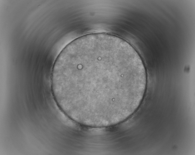 X0000111790810200909031156