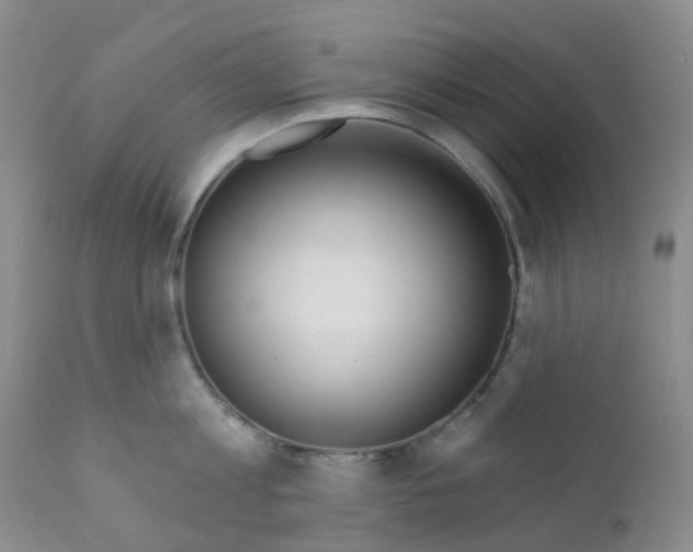 X0000111790813200909031155