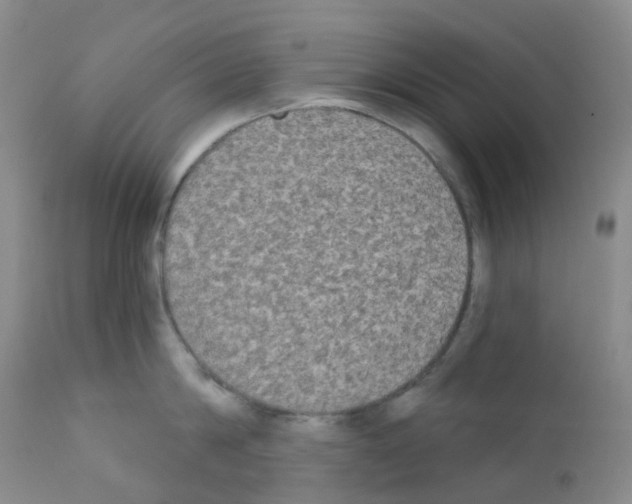 X0000111790814200909031155