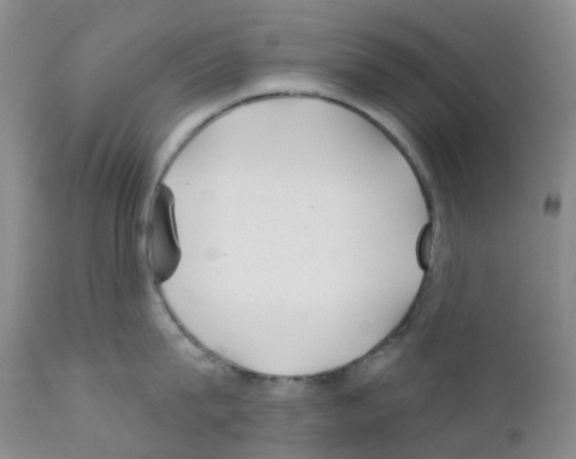 X0000111790815200909031155