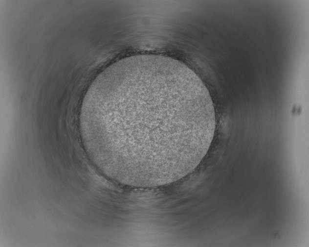 X0000111790817200909031155