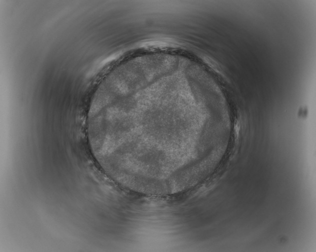 X0000111790822200909031155