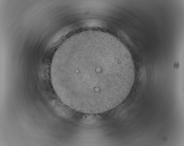 X0000111790824200909031155