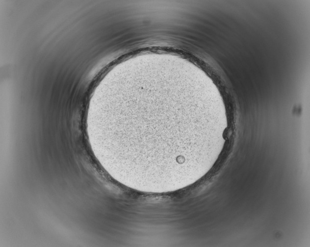 X0000111790826200909031155