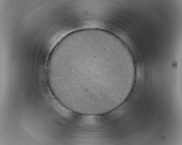 X0000111790828200909031155