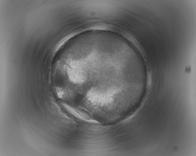 X0000111790829200909031155