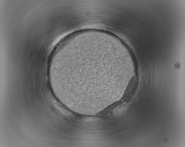 X0000111790830200909031155