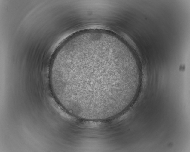 X0000111790831200909031155