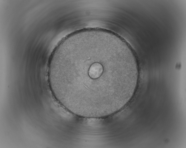 X0000111790832200909031155