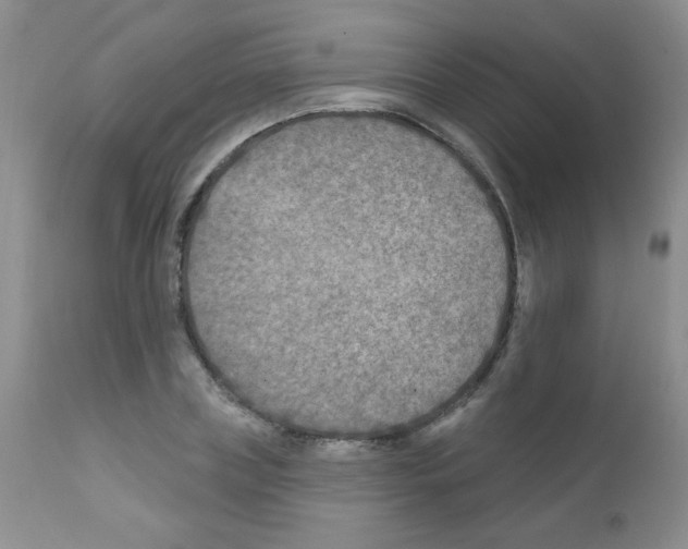 X0000111790835200909031155