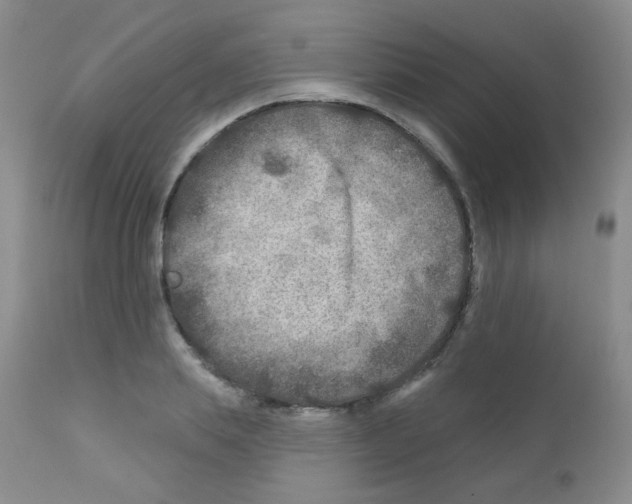 X0000111790839200909031155