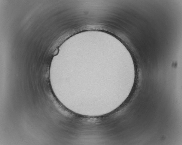 X0000111790841200909031155