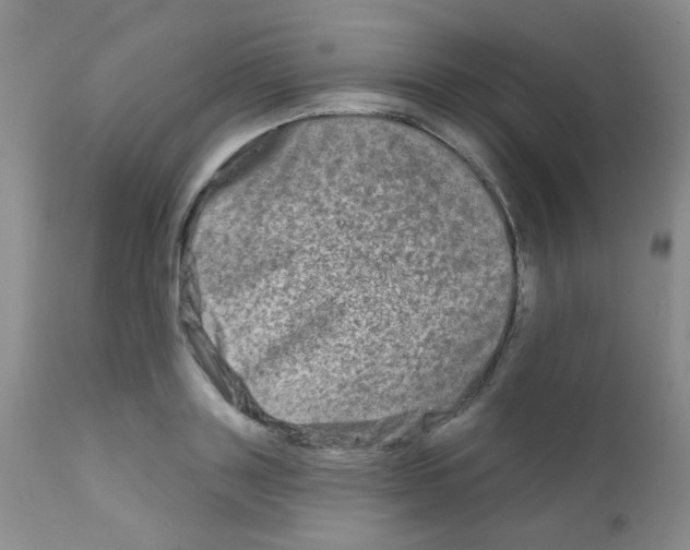 X0000111790843200909031155