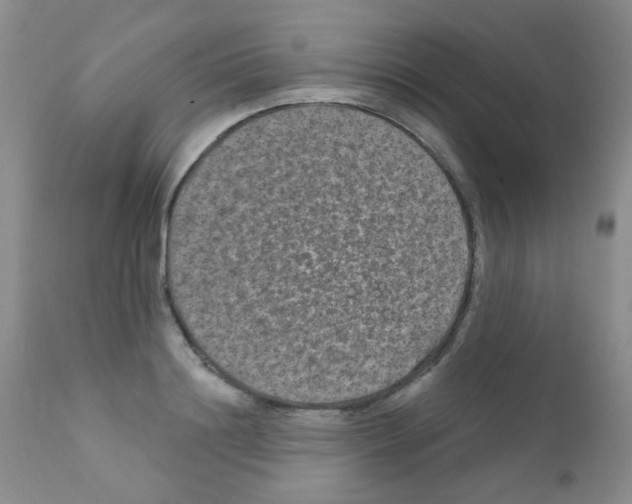 X0000111790844200909031155