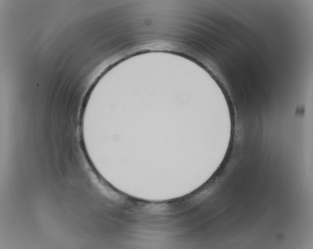 X0000111790845200909031155